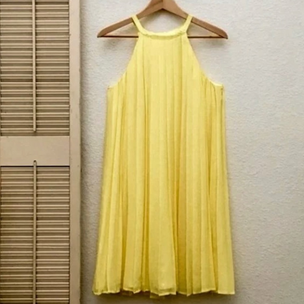 Express Pleated 100% Silk Chiffon Swing Dress